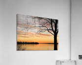 IMG 5757 Acrylic Print