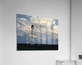 IMG 6235 Acrylic Print