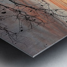 IMG 5757 Metal print