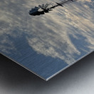 IMG 6235 Metal print