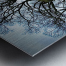 IMG 5059 Metal print