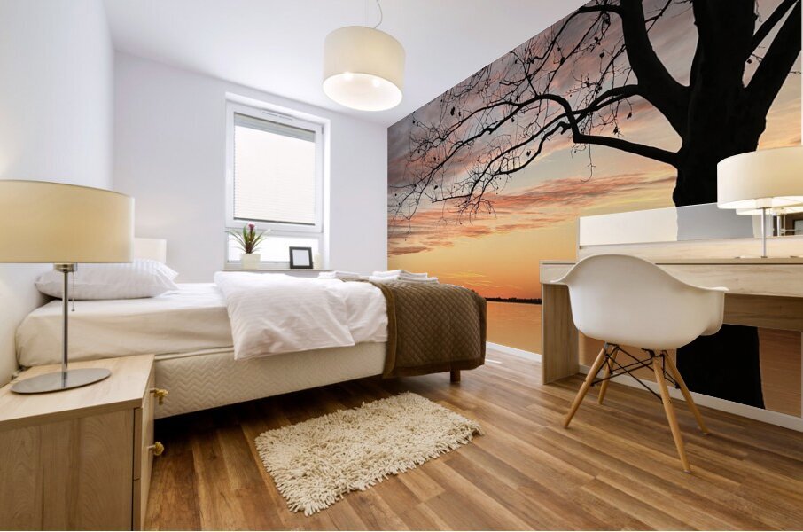 IMG 5757 Mural print