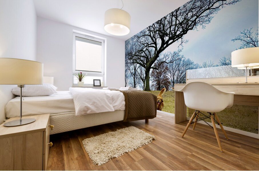 IMG 5059 Mural print