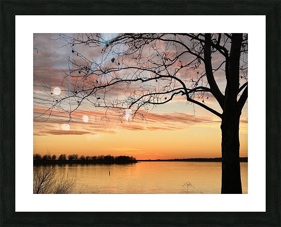 IMG 5757 Picture Frame print