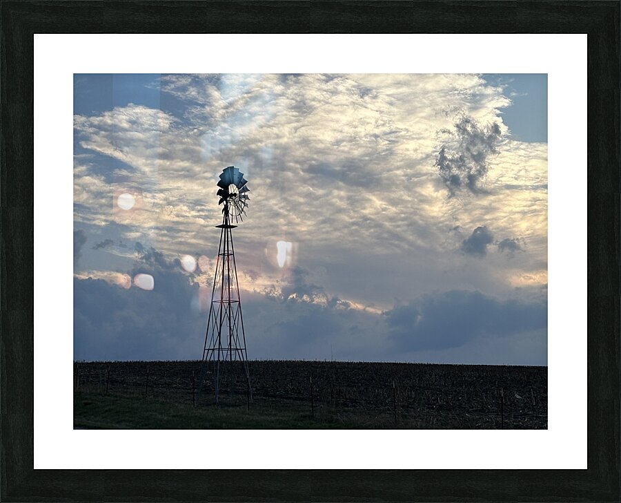 IMG 6235 Picture Frame print