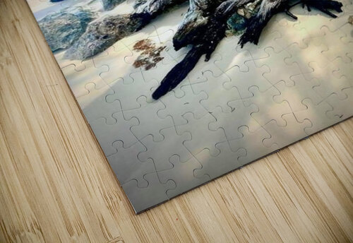 IMG 3842 MaryBeth Norsworthy puzzle