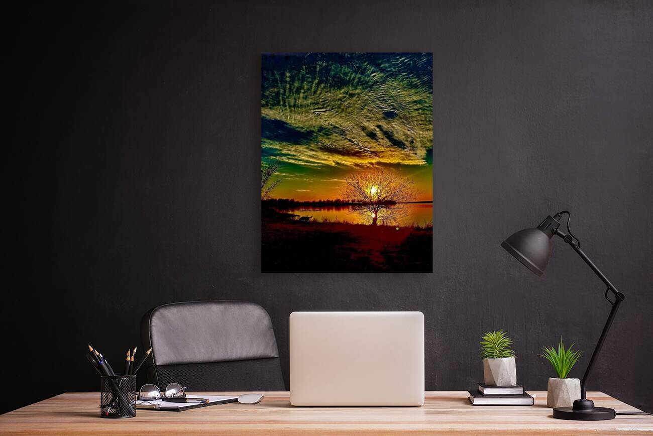 IMG 5992 Reproduction