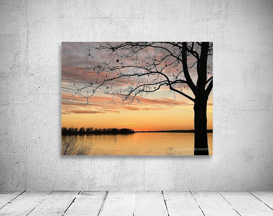 IMG 5757 Wall Preview