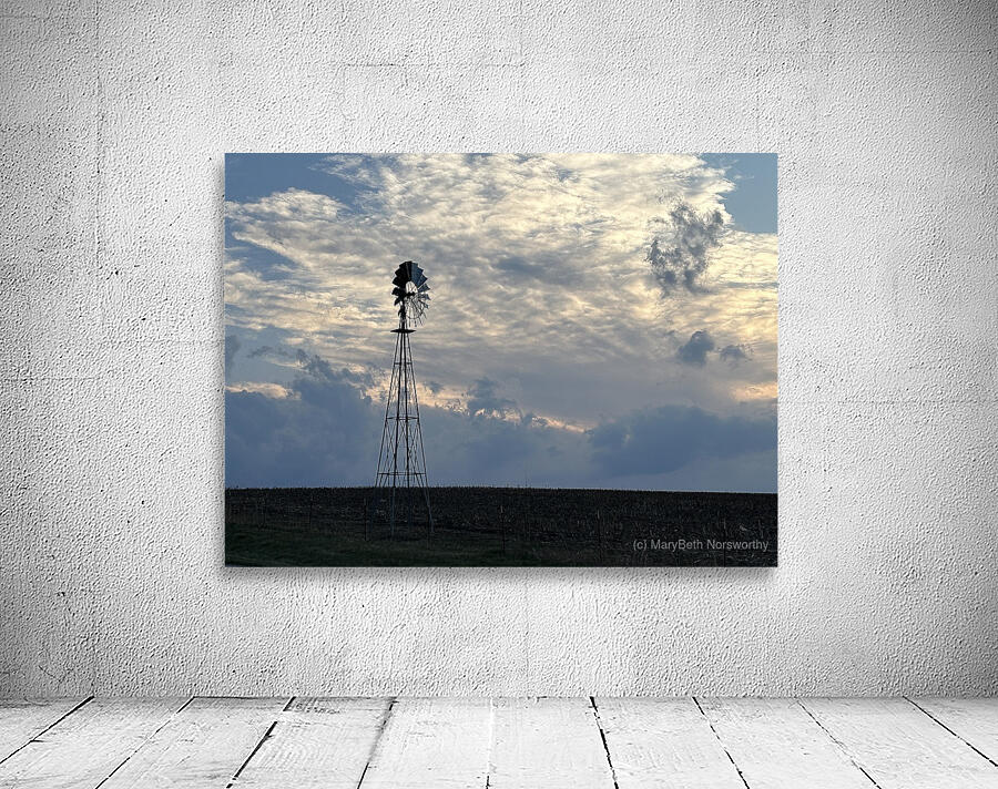 IMG 6235 Wall Preview