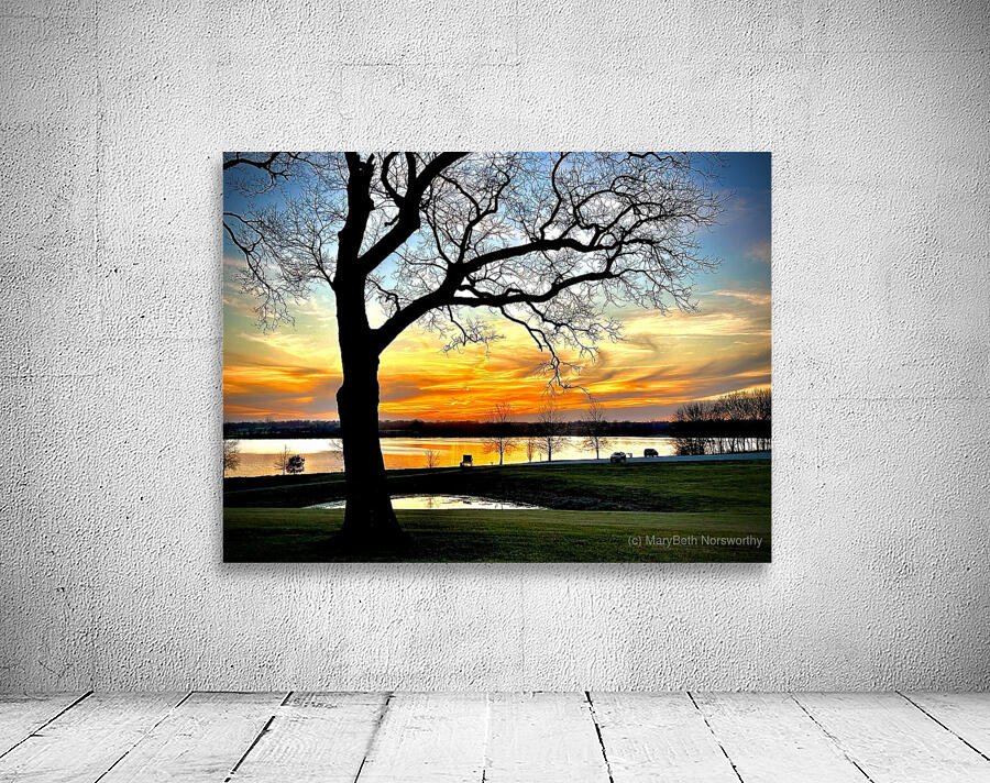 IMG 6009 Wall Preview