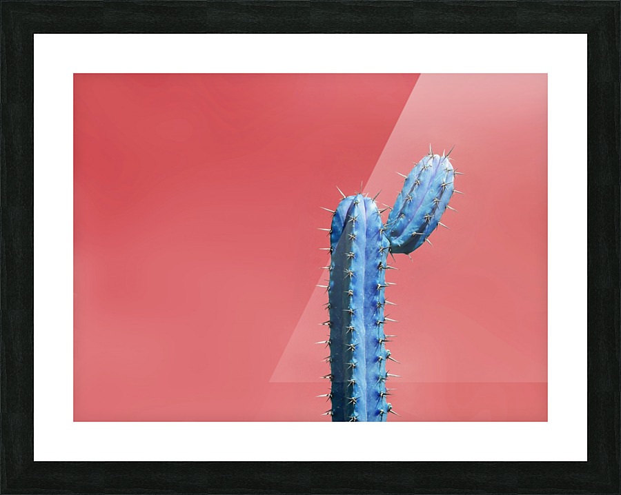 Blue Cactus Picture Frame print