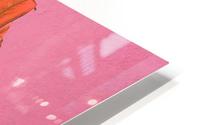Red on Pink Wall HD Metal print