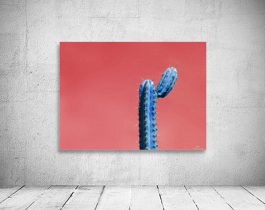 Blue Cactus Wall Preview