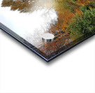 autunno Acrylic print