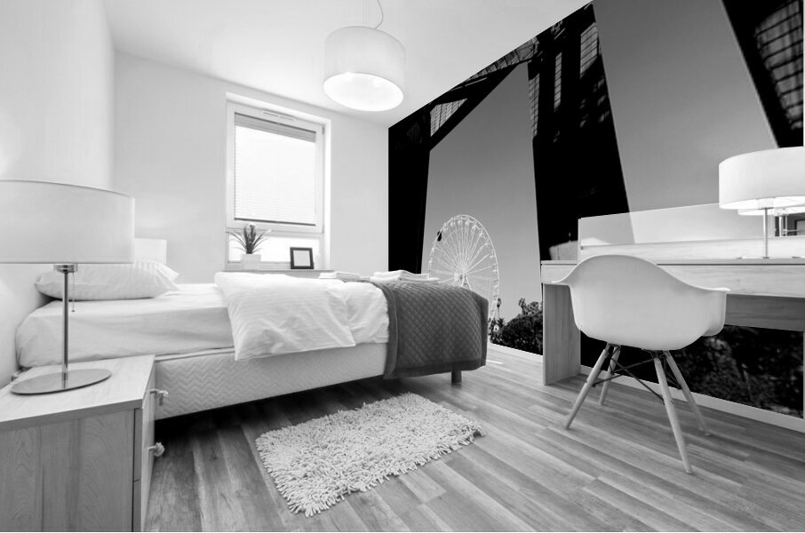 ruota bw Mural print