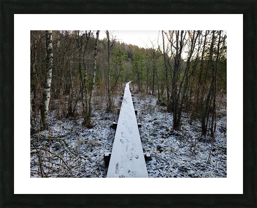 catwalk 30 Picture Frame print