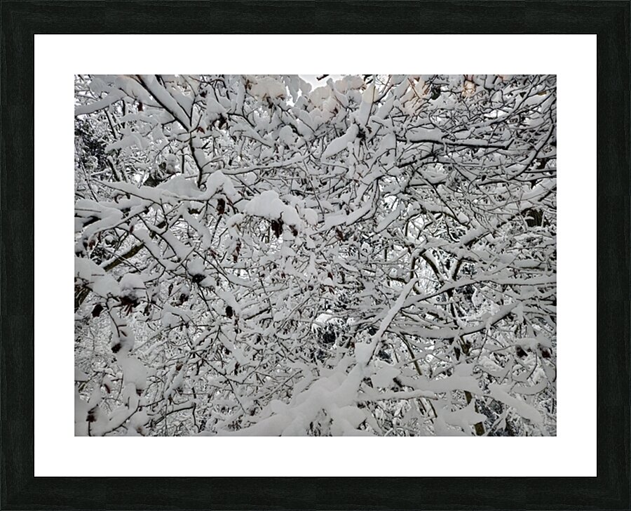 snow 30 Picture Frame print