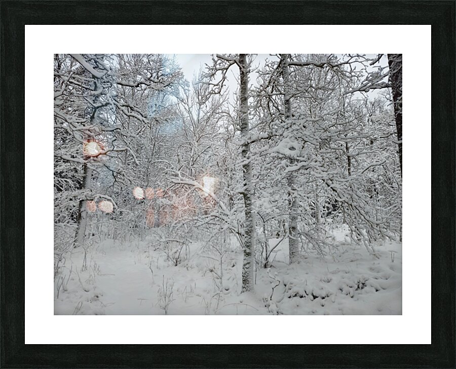 snow 31 Picture Frame print
