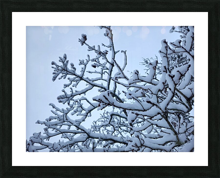snow 32 Picture Frame print