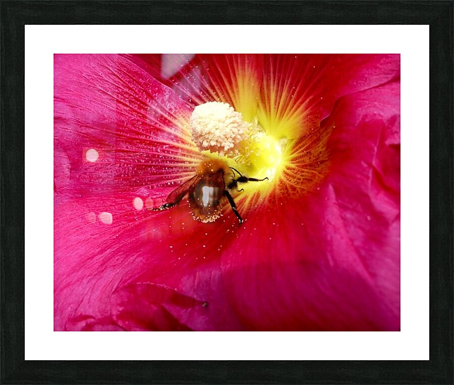 flower 100 Impression et Cadre photo