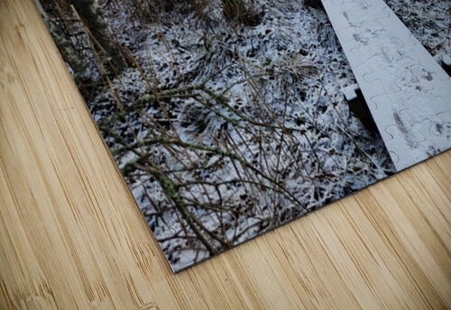 catwalk 30 Massimo Frascogna puzzle