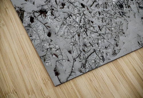 snow 30 Massimo Frascogna puzzle