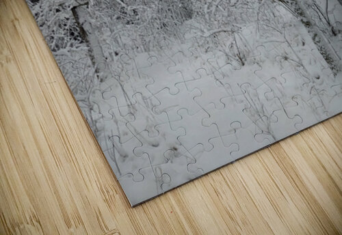 snow 31 Massimo Frascogna puzzle