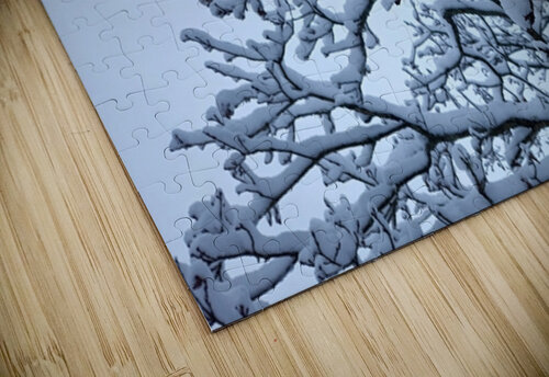 snow 32 Massimo Frascogna puzzle