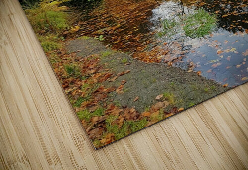 autunno Massimo Frascogna puzzle