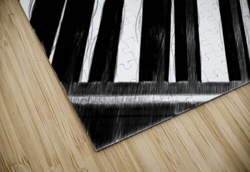 Black and white Massimo Frascogna puzzle