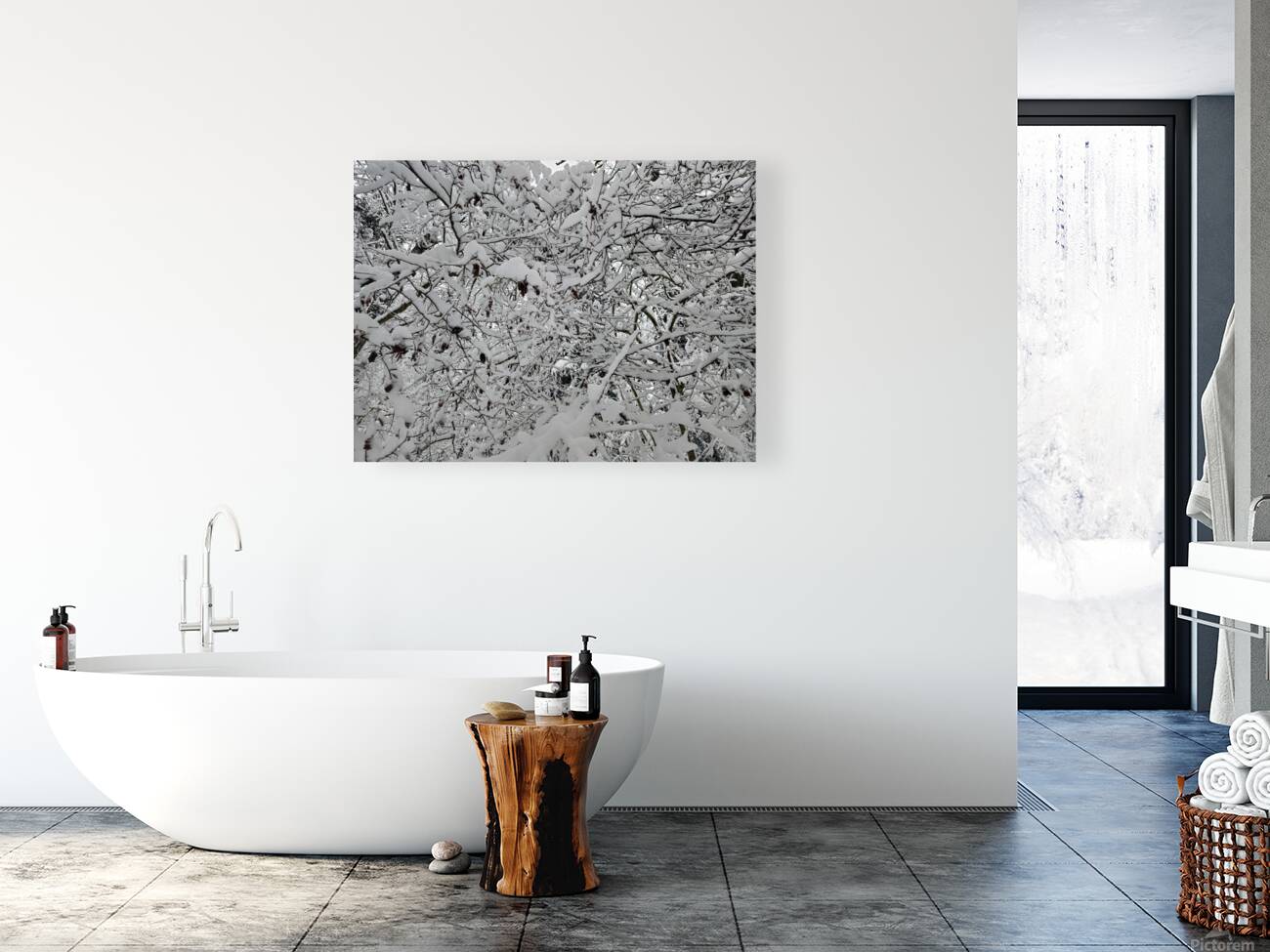 snow 30 Reproduction