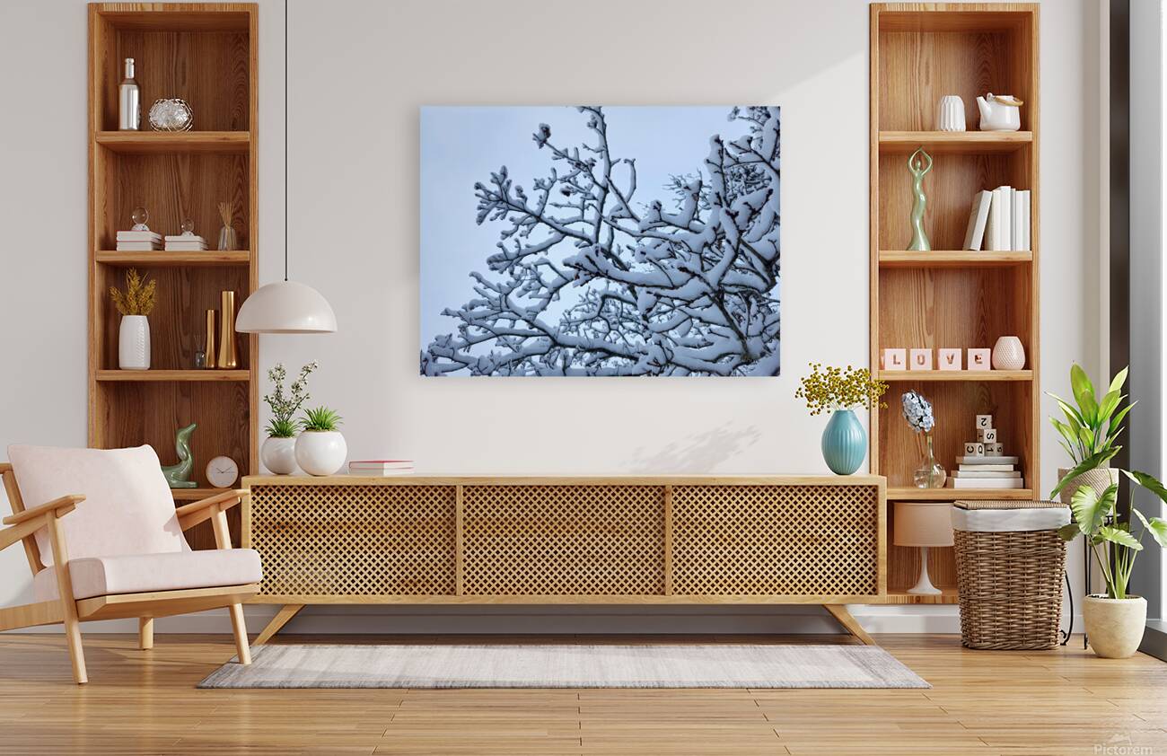 snow 32 Reproduction