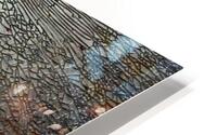 glass 02 HD Metal print