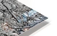 snow 30 HD Metal print