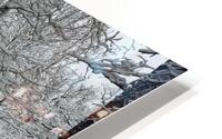 snow 31 HD Metal print