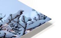 snow 32 HD Metal print