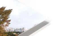 autunno HD Metal print