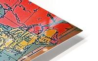 indians map 21 HD Metal print