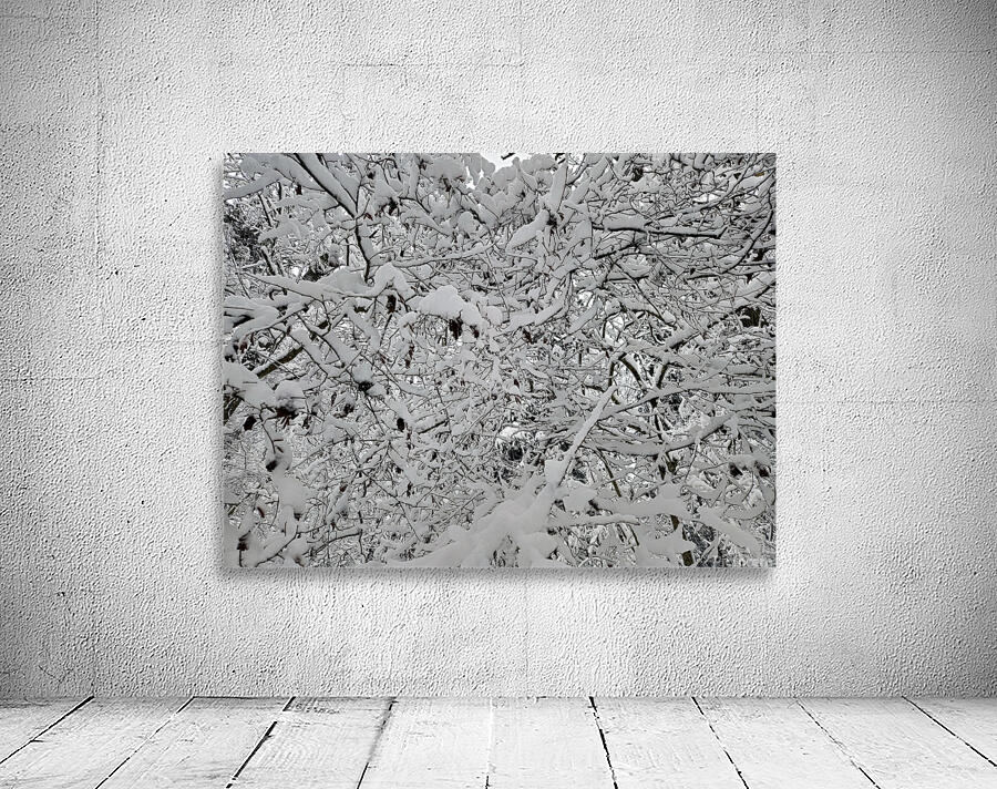 snow 30 Wall Preview