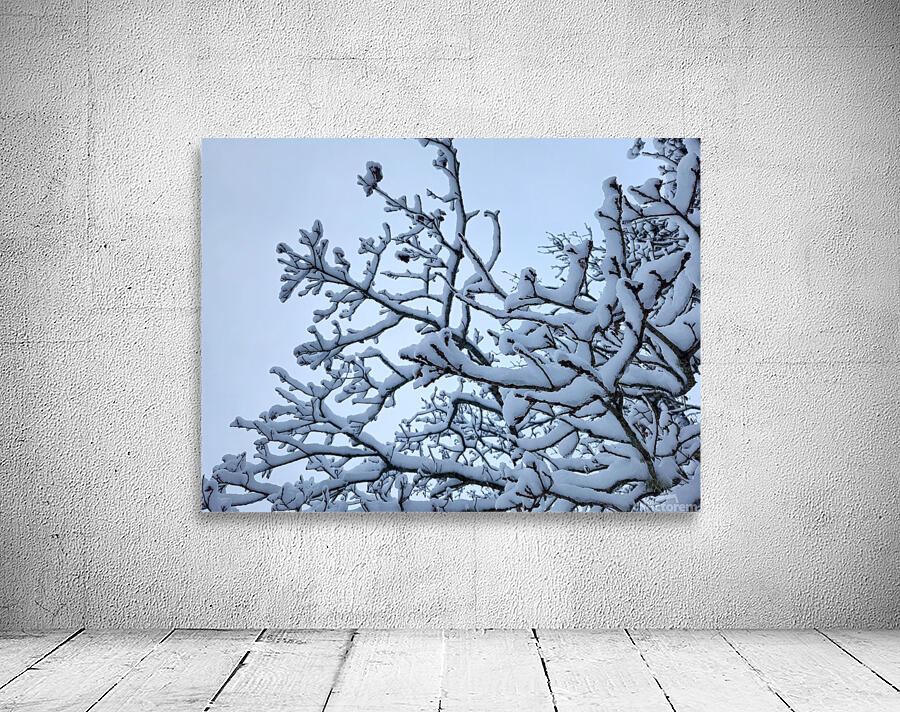snow 32 Wall Preview