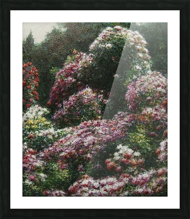 Garden 6 Picture Frame print