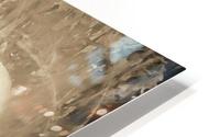 fairy tale 3EE HD Metal print