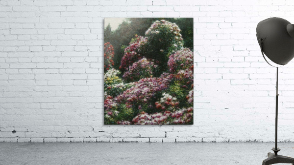 Garden 6 Wall Preview