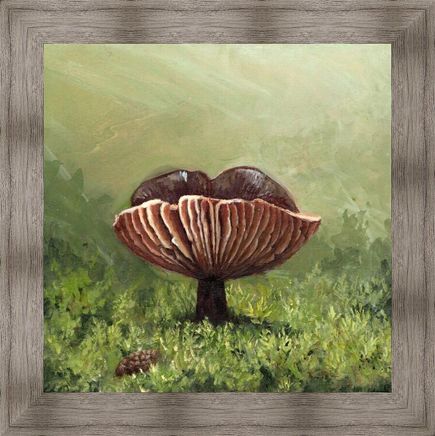 Sentinel of Hidden Lake Picture Frame print