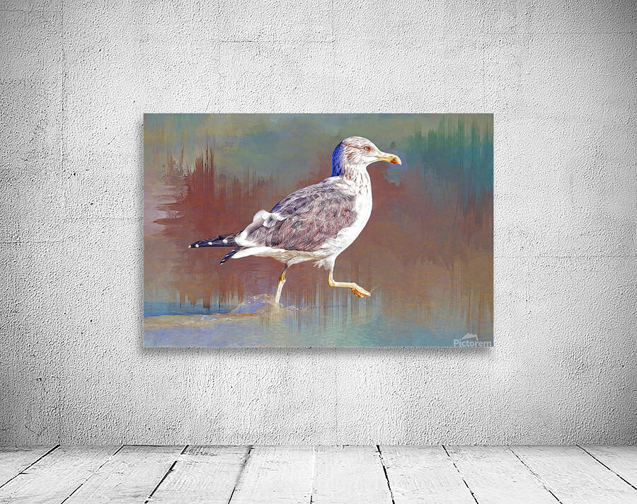 Seagull Runs Wall Preview
