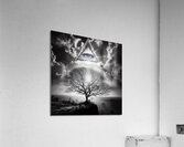 Eye of Providence Acrylic Print