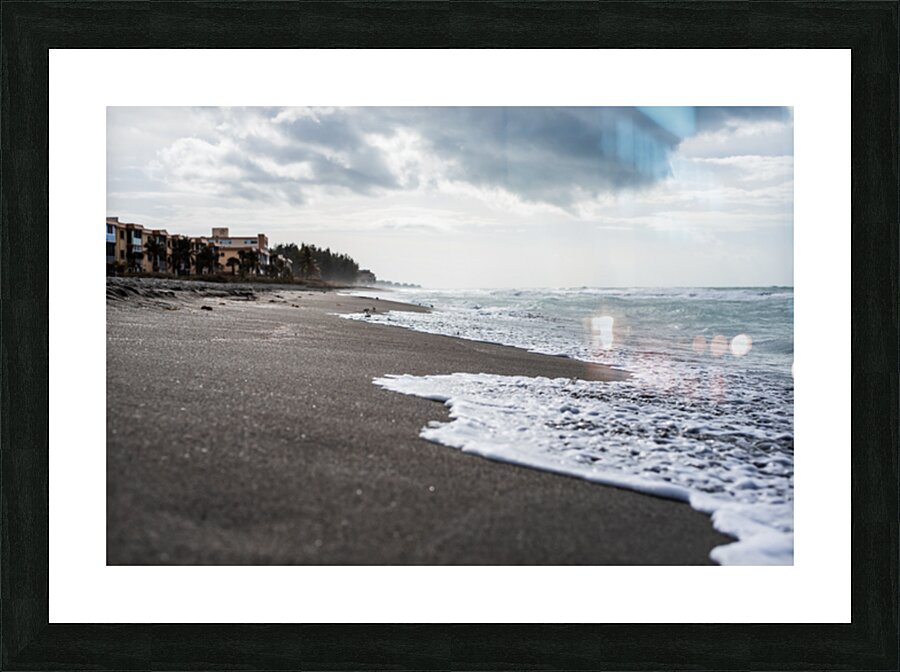 Osprey Turtle Beach Florida Picture Frame print