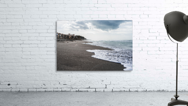 Osprey Turtle Beach Florida Wall Preview