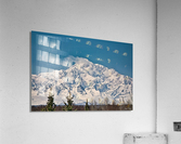Denali on a bright blue day Acrylic Print