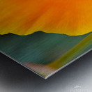 Flower with wasp Metal print